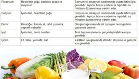 Vitamin ve mineral bakımından zengin besinlerin listesi